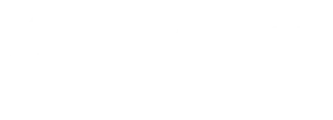 EMAction - Immediate Incident Information
